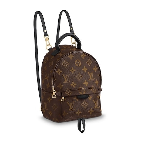 Louis Vuitton Handbags - BNIB/NWT Louis Vuitton Mini Palm Springs Backpack